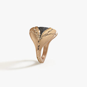Luxury Scudo di Sequoia ring handcrafted in 18K rose ethical gold with burned engravings, a shield-like design inspired by the strength and wisdom of the sequoia tree – designed by Riccardo Contini

